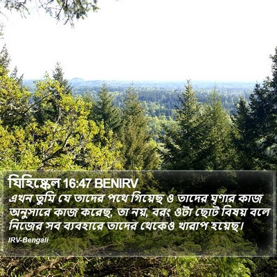 যিহিষ্কেল 16:47 BENIRV Bible Verse Image