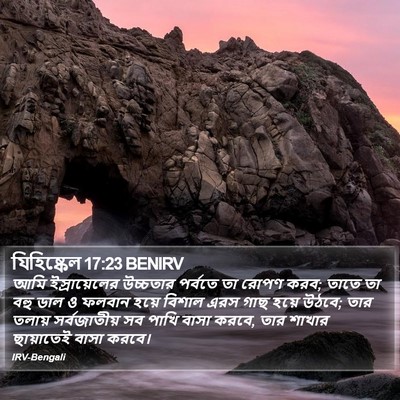 যিহিষ্কেল 17:23 BENIRV Bible Verse Image