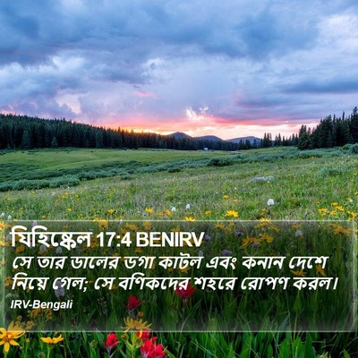 যিহিষ্কেল 17:4 BENIRV Bible Verse Image