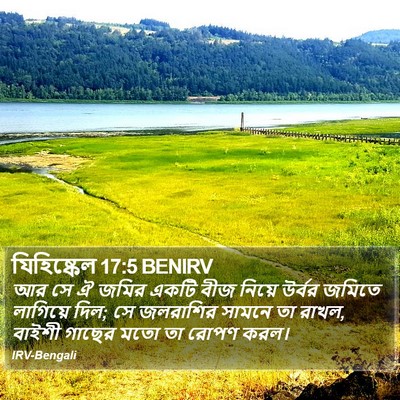 যিহিষ্কেল 17:5 BENIRV Bible Verse Image