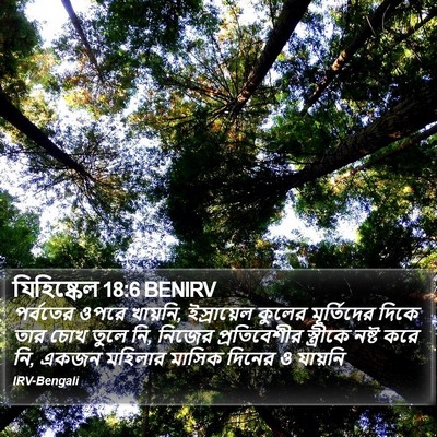 যিহিষ্কেল 18:6 BENIRV Bible Verse Image