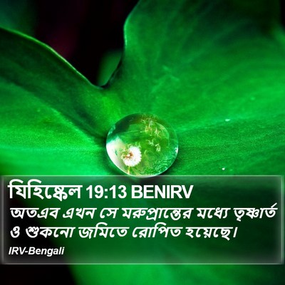 যিহিষ্কেল 19:13 BENIRV Bible Verse Image