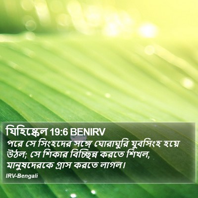 যিহিষ্কেল 19:6 BENIRV Bible Verse Image