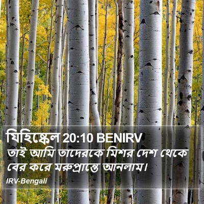 যিহিষ্কেল 20:10 BENIRV Bible Verse Image