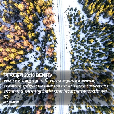 যিহিষ্কেল 20:18 BENIRV Bible Verse Image