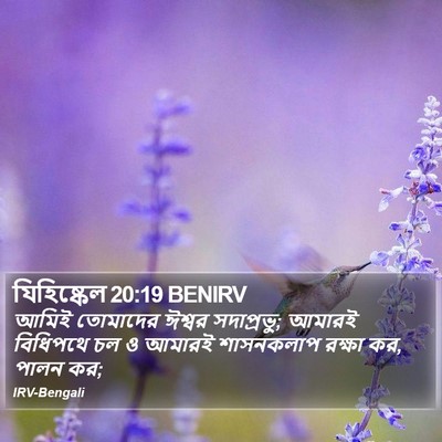 যিহিষ্কেল 20:19 BENIRV Bible Verse Image