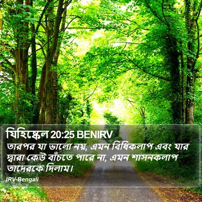 যিহিষ্কেল 20:25 BENIRV Bible Verse Image