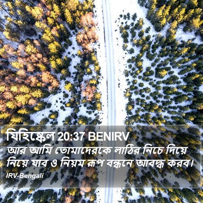 যিহিষ্কেল 20:37 BENIRV Bible Verse Image