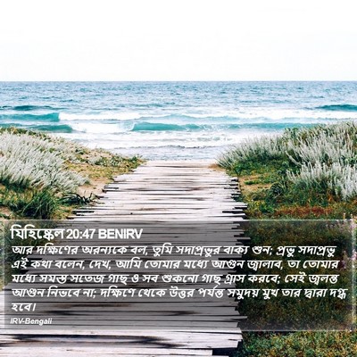 যিহিষ্কেল 20:47 BENIRV Bible Verse Image