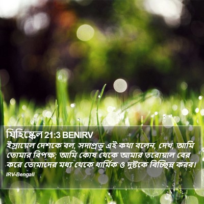 যিহিষ্কেল 21:3 BENIRV Bible Verse Image