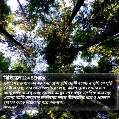 যিহিষ্কেল 22:4 BENIRV Bible Verse Image