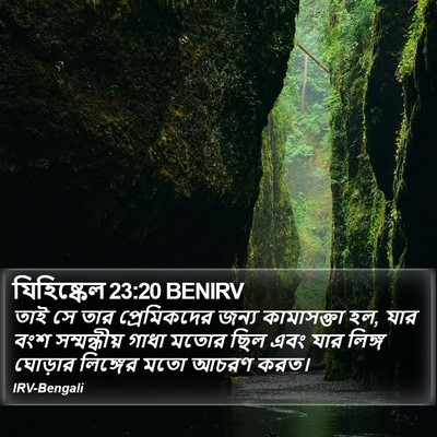 যিহিষ্কেল 23:20 BENIRV Bible Verse Image