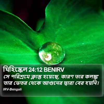 যিহিষ্কেল 24:12 BENIRV Bible Verse Image