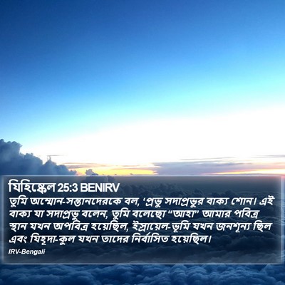 যিহিষ্কেল 25:3 BENIRV Bible Verse Image