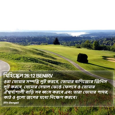 যিহিষ্কেল 26:12 BENIRV Bible Verse Image