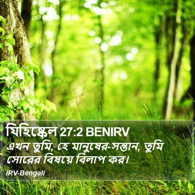 যিহিষ্কেল 27:2 BENIRV Bible Verse Image