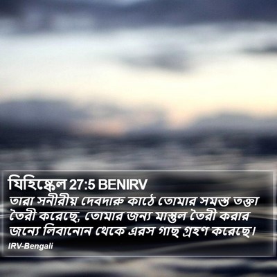 যিহিষ্কেল 27:5 BENIRV Bible Verse Image