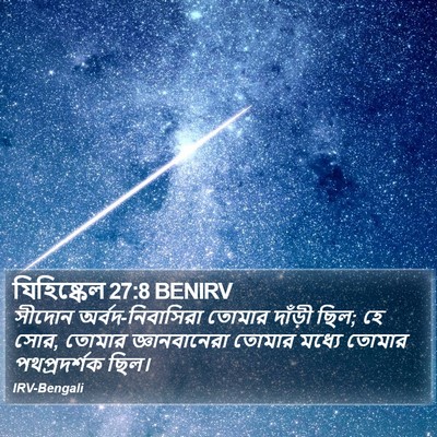 যিহিষ্কেল 27:8 BENIRV Bible Verse Image