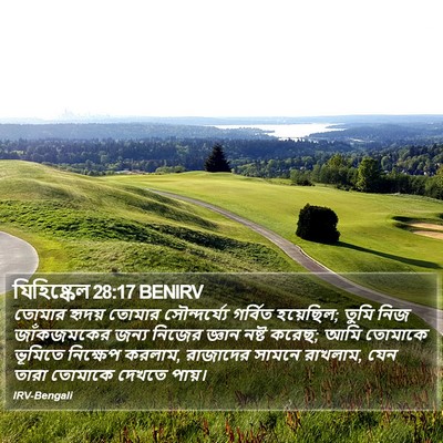 যিহিষ্কেল 28:17 BENIRV Bible Verse Image