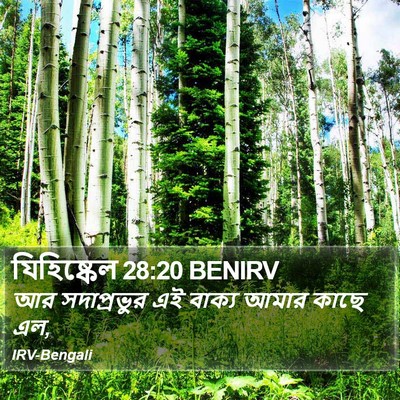 যিহিষ্কেল 28:20 BENIRV Bible Verse Image