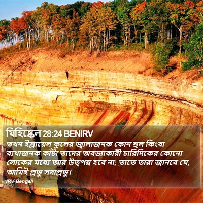যিহিষ্কেল 28:24 BENIRV Bible Verse Image
