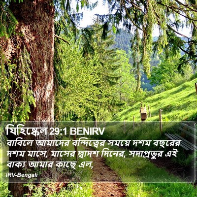 যিহিষ্কেল 29:1 BENIRV Bible Verse Image