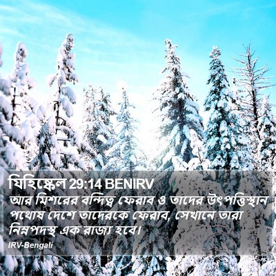 যিহিষ্কেল 29:14 BENIRV Bible Verse Image