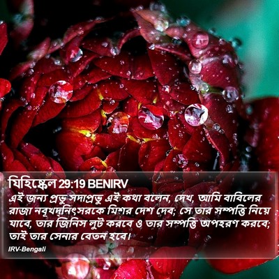 যিহিষ্কেল 29:19 BENIRV Bible Verse Image