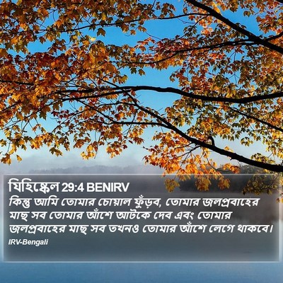 যিহিষ্কেল 29:4 BENIRV Bible Verse Image