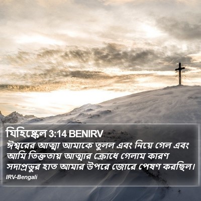 যিহিষ্কেল 3:14 BENIRV Bible Verse Image