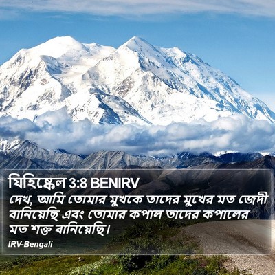 যিহিষ্কেল 3:8 BENIRV Bible Verse Image