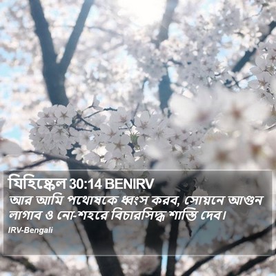যিহিষ্কেল 30:14 BENIRV Bible Verse Image