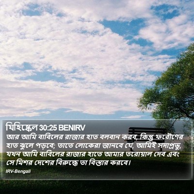 যিহিষ্কেল 30:25 BENIRV Bible Verse Image