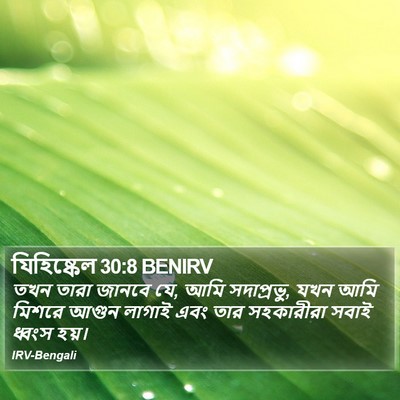 যিহিষ্কেল 30:8 BENIRV Bible Verse Image