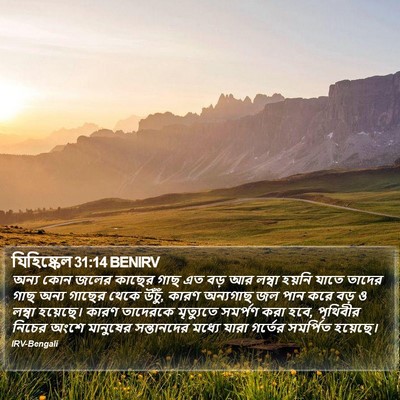 যিহিষ্কেল 31:14 BENIRV Bible Verse Image