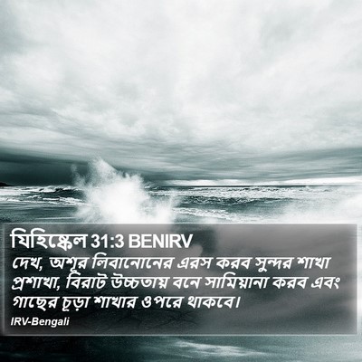 যিহিষ্কেল 31:3 BENIRV Bible Verse Image
