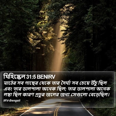 যিহিষ্কেল 31:5 BENIRV Bible Verse Image