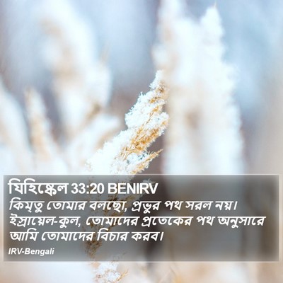 যিহিষ্কেল 33:20 BENIRV Bible Verse Image