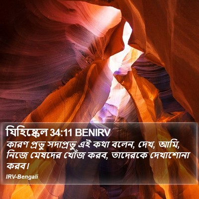 যিহিষ্কেল 34:11 BENIRV Bible Verse Image