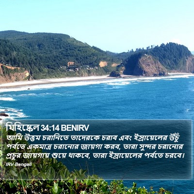যিহিষ্কেল 34:14 BENIRV Bible Verse Image