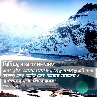 যিহিষ্কেল 34:17 BENIRV Bible Verse Image