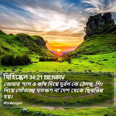 যিহিষ্কেল 34:21 BENIRV Bible Verse Image