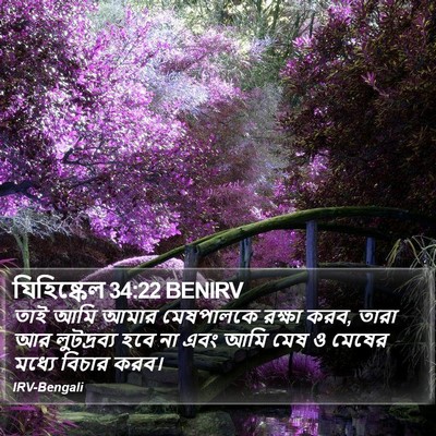 যিহিষ্কেল 34:22 BENIRV Bible Verse Image