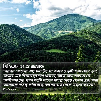 যিহিষ্কেল 34:27 BENIRV Bible Verse Image