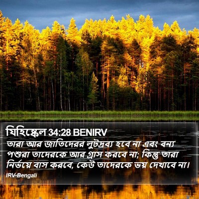 যিহিষ্কেল 34:28 BENIRV Bible Verse Image