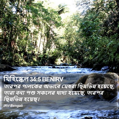 যিহিষ্কেল 34:5 BENIRV Bible Verse Image