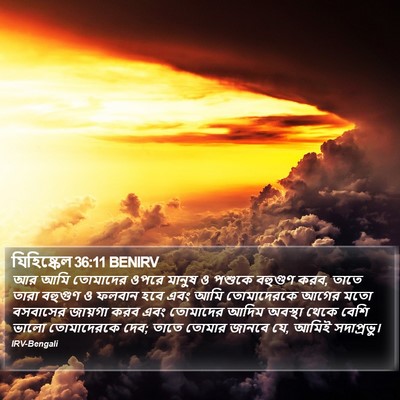 যিহিষ্কেল 36:11 BENIRV Bible Verse Image