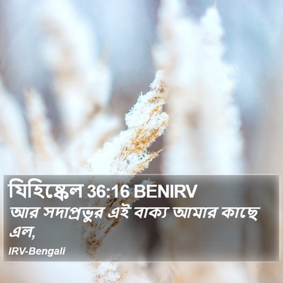 যিহিষ্কেল 36:16 BENIRV Bible Verse Image