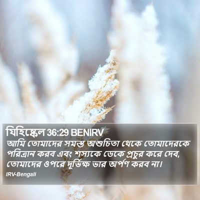 যিহিষ্কেল 36:29 BENIRV Bible Verse Image