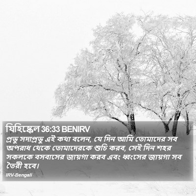 যিহিষ্কেল 36:33 BENIRV Bible Verse Image